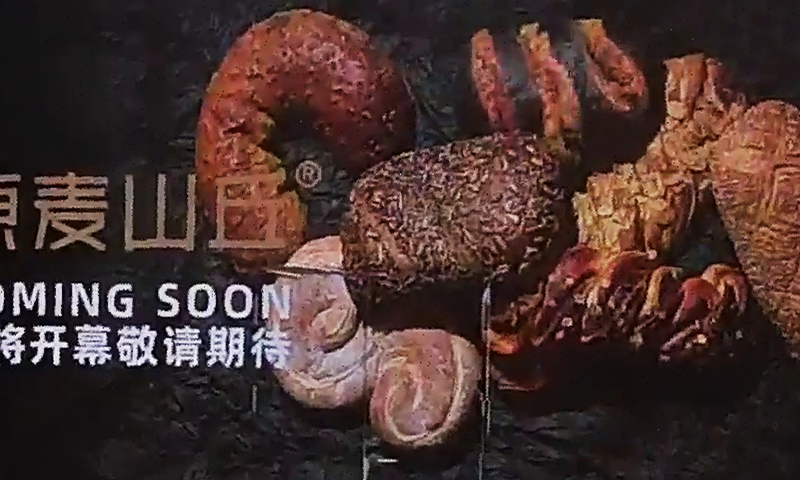 t-pro-彩色模块.png